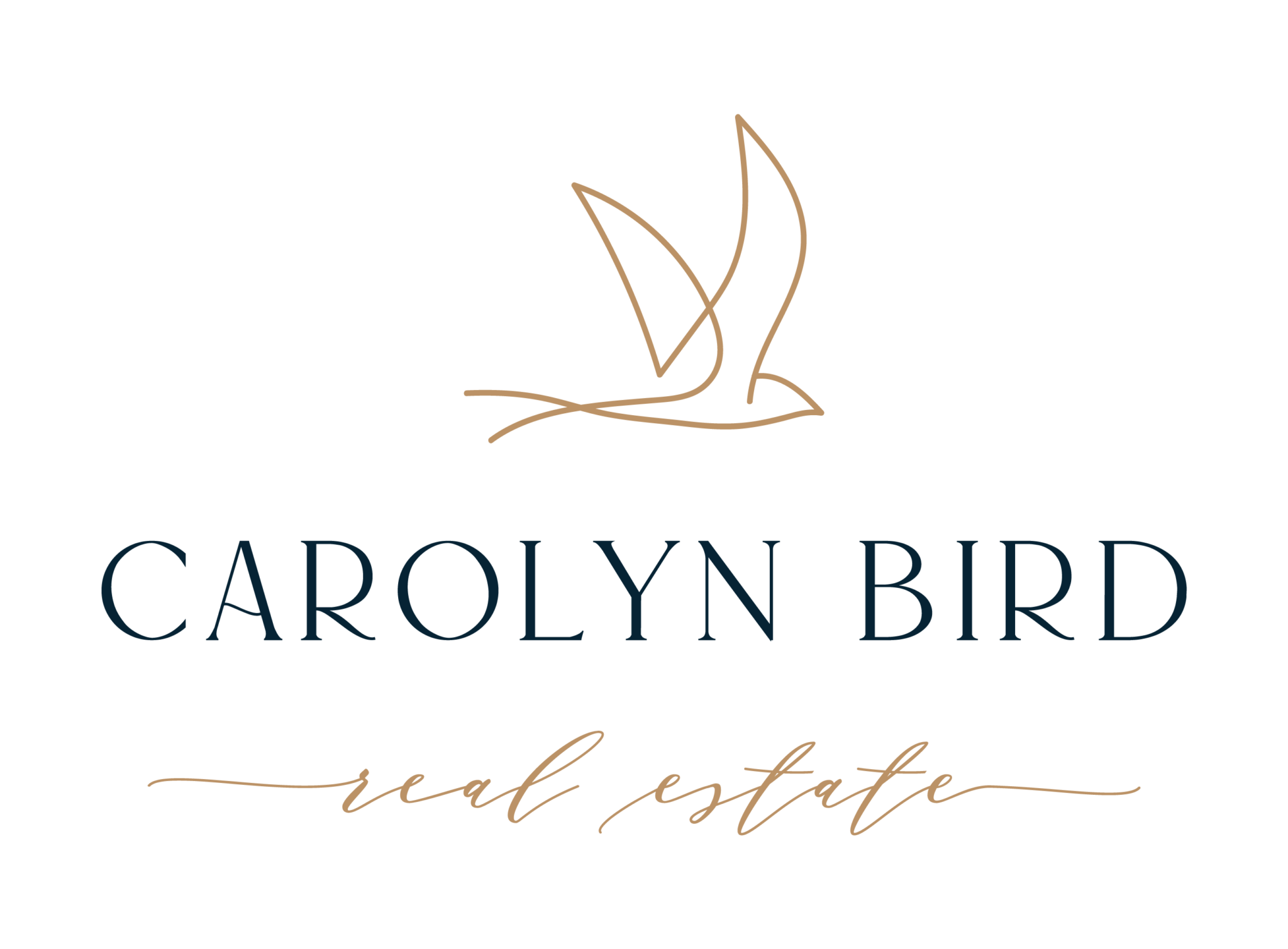 Contact Me Carolyn Bird
