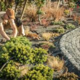 4 Reasons To Choose Drought-Tolerant Landscaping