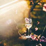 Bay Area Events | April 2025