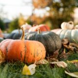 Bay Area Events | October 2025
