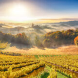 Bay Area Events | November 2025