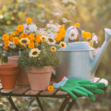 5 Garden Tips For Year-Round Beauty