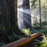 5 South Bay Trails Worth The Journey